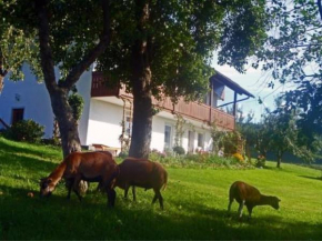 Гостиница Ferienhof Pfeffer  Лам
